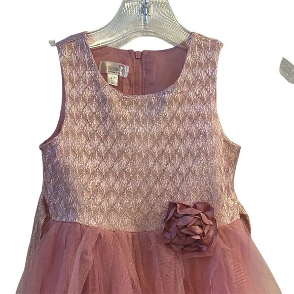Biscotti Girls 4T Pink Tulle Ruffled Party Dress Sleeveless Knee Length - Picture 2 of 12